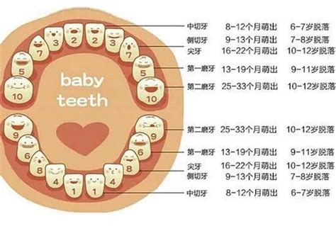 小朋友出大牙|儿童换牙，爸妈应该知道的九件事